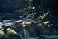 Long exposure of a river creek with a small waterfall. Sunset and strong detail bokeh view. blue calm warm water Royalty Free Stock Photo