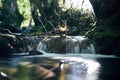 Long exposure of a river creek with a small waterfall. Sunset and strong detail bokeh view. blue calm warm water Royalty Free Stock Photo