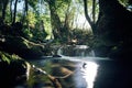 Long exposure of a river creek with a small waterfall. Sunset and strong detail bokeh view. blue calm warm water