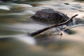 Long exposure of river with fallen branch