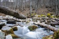 Long exposure river in the forest