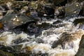 The river Rha on the Isle of Skye Royalty Free Stock Photo