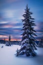 Long exposure scene of a beautiful cold sunset during winter