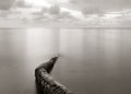 Long exposure seascape with fallen palm tree