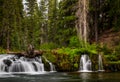 Long exposure of a short waterfall with an old log on top and lots of green mossy rocks and a dead tree on the right side in Royalty Free Stock Photo