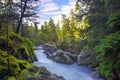 Long exposure shot of Little Qualicum Falls in Vancouver Island, BC Canada Royalty Free Stock Photo