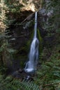 Long exposure shot of Marymere Falls from another perspective, Olympic Peninsula, USA Royalty Free Stock Photo