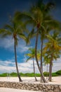 Long exposure shot of Miami Beach palm trees on Ocean Drive Royalty Free Stock Photo