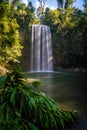 Long exposure shot of Millaa Milla Falls in the summer in Queensland, Australia Royalty Free Stock Photo