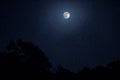 Long exposure shot. Mountain Road through the forest on a full moon night. Scenic night landscape of dark blue sky with moon. Royalty Free Stock Photo