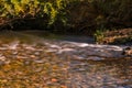 Parke waterway river Bovey