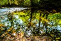 Parke waterway river Bovey