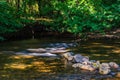 Parke waterway river Bovey