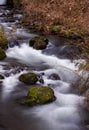 Long exposure shot of a river flowing through a forest Royalty Free Stock Photo