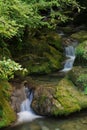 Long exposure shot of a small cascade waterfall flowing down the mossy rocks Royalty Free Stock Photo