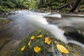 Long exposure shot of small fast flowing through wild green mountain forest river with crystal clear smooth silky water and Royalty Free Stock Photo