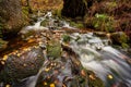 Long exposure shot of a small waterfall flowing over mossy rocks in a forest Royalty Free Stock Photo