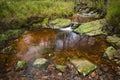 Tro Maret River, Ardennes, Belgium