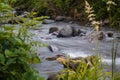 Long exposure shot of smooth water surface of Ukrainian Carpathian mountains river flowing among stones and greenery Royalty Free Stock Photo