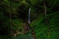 Long Exposure of a Slender Cascade Waterfall - Gauley Bridge, West Virginia