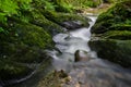 Long exposure of a small mountain creek that winds through the mossy cliffs and ferns Royalty Free Stock Photo