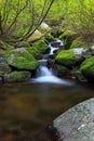 Long exposure of a small stream winding along a path of rocks and grass, surrounded by lush trees