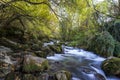 Long exposure smooth flowing water over rocks in forest Royalty Free Stock Photo