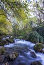 Long exposure smooth flowing water over rocks in forest Royalty Free Stock Photo