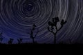 Long Exposure Star Trails In Joshua Tree National Park Royalty Free Stock Photo