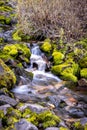 Long Exposure of a Stream With Milky Flowing Water Surrounded By Moss Covered Rocks