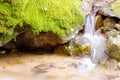 Long exposure summer forest waterfall Royalty Free Stock Photo