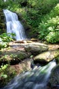 Long exposure summer waterfall in forest Royalty Free Stock Photo