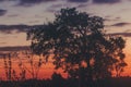 Long exposure of the sunset with moving clouds and the silhouette of a cork tree Royalty Free Stock Photo