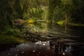Flowing forest river in Norway Royalty Free Stock Photo