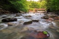 Long exposure to flowing mountain water among stones Royalty Free Stock Photo