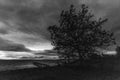 Long exposure view of a pier on a lake with still water, moving clouds and a tree in the foreground blown by the wind Royalty Free Stock Photo