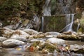 Long exposure view of water cascading over a stone wall in a forest Royalty Free Stock Photo