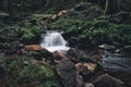Long exposure view of water gushing down a creek in a forest Royalty Free Stock Photo