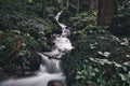 Long exposure view of water gushing down a creek in a forest Royalty Free Stock Photo