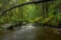 Forest river autumn long exposure colorful