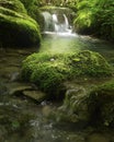 Long exposure of Water stream between mossy rocks Royalty Free Stock Photo
