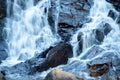 Long exposure waterfall flowing over black rocks Royalty Free Stock Photo