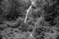 Canonteign Falls in Dartmoor