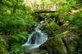 Canonteign Falls in Dartmoor