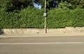 Long fence consisting of a high hedge on a low surrounding stone wall. Convex mirror on cement pole and asphalt street in front. Royalty Free Stock Photo