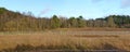 A long fence made of metal mesh separates the forest and the construction site of the secret state facility Royalty Free Stock Photo