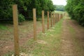 Long fence of wooden posts