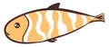 Long fish with brown and white color, curvy design, black fin, vector or color illustration