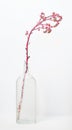 Frosted Hand-blown bottle with Succulent Bloom