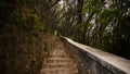 Long forest path with stone stairs